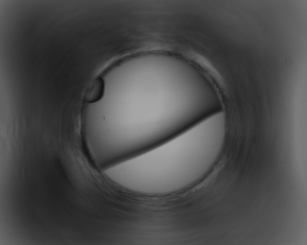 X0000096981220200802080853