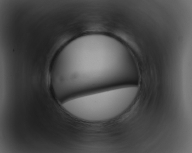 X0000096981221200802080853