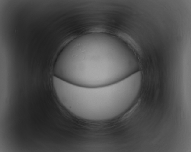 X0000096981225200802080853