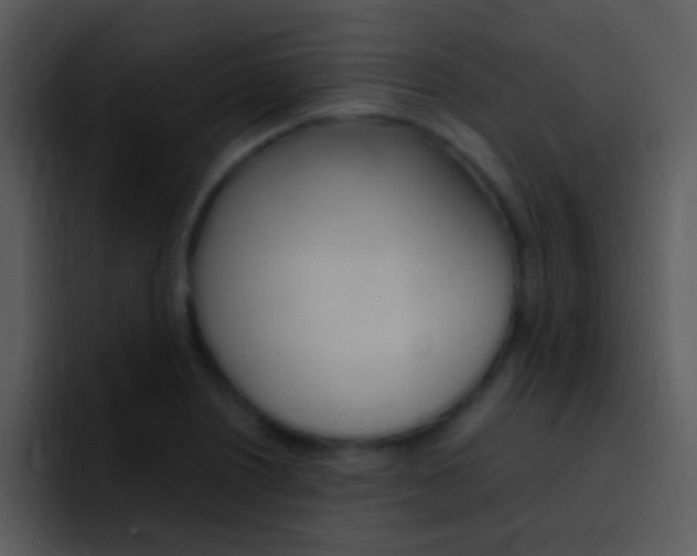 X0000096981226200802080853
