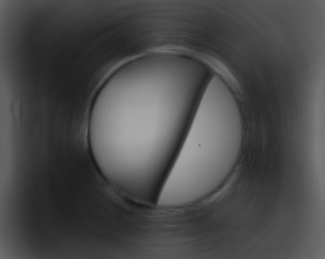 X0000096981228200802080853