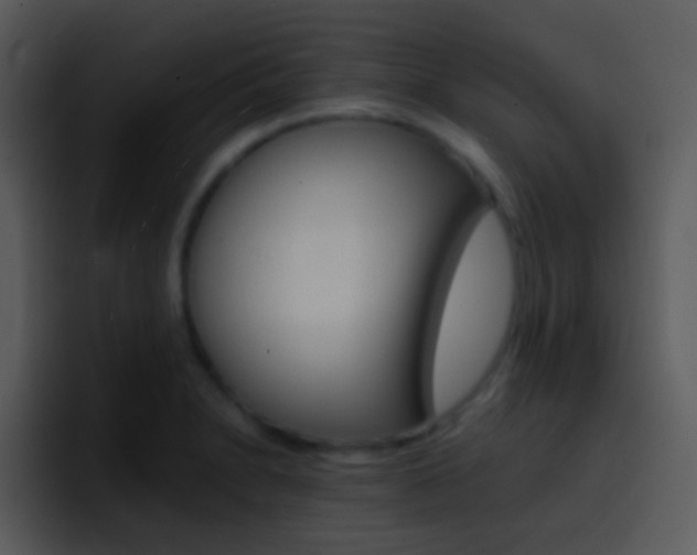 X0000096981230200802080853