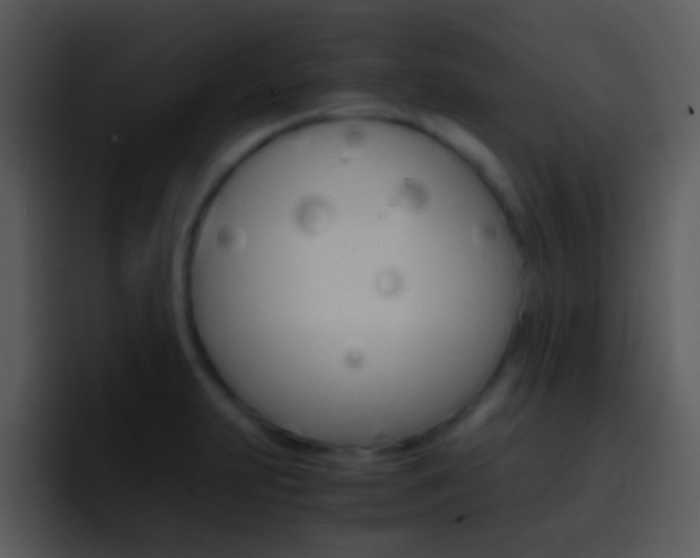 X0000096981231200802080853
