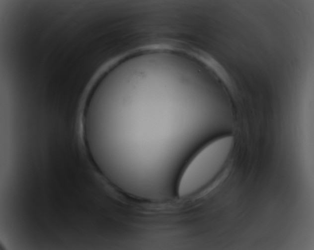 X0000096981232200802080853