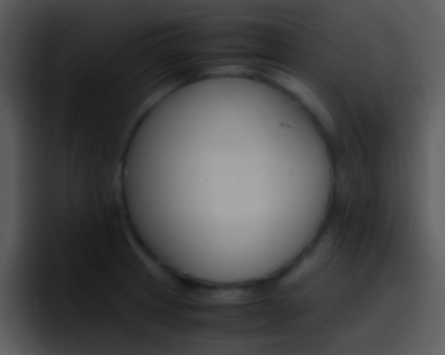 X0000096981233200802080853