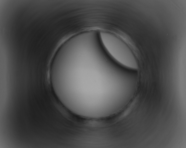 X0000096981234200802080853