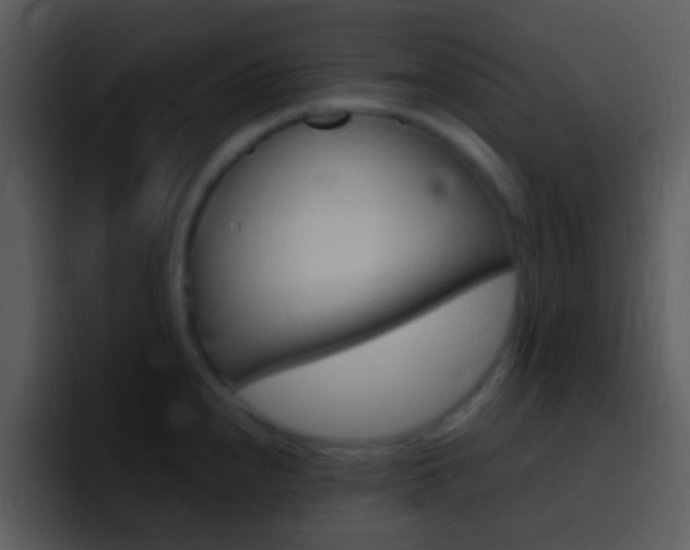 X0000096981240200802080853