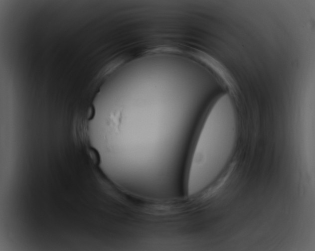 X0000096981241200802080853