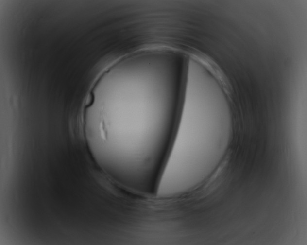 X0000096981242200802080853