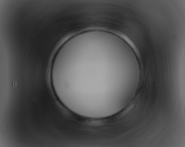X0000096981245200802080853
