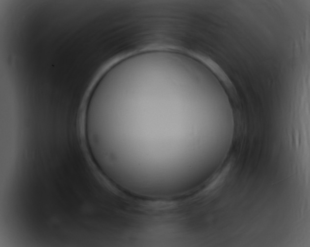 X0000096981246200802080853