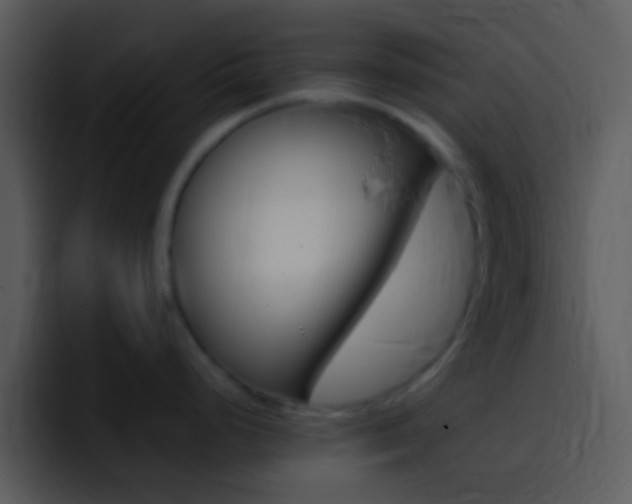 X0000096981248200802080853