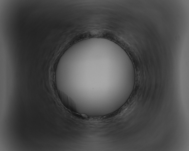 X0000096981249200802080852