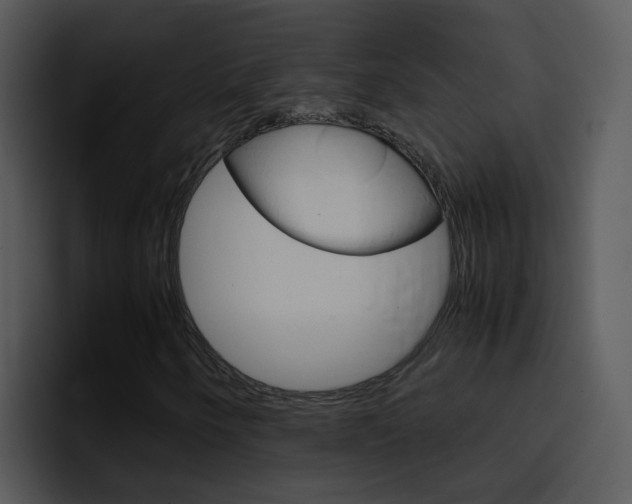 X0000096981250200802080852