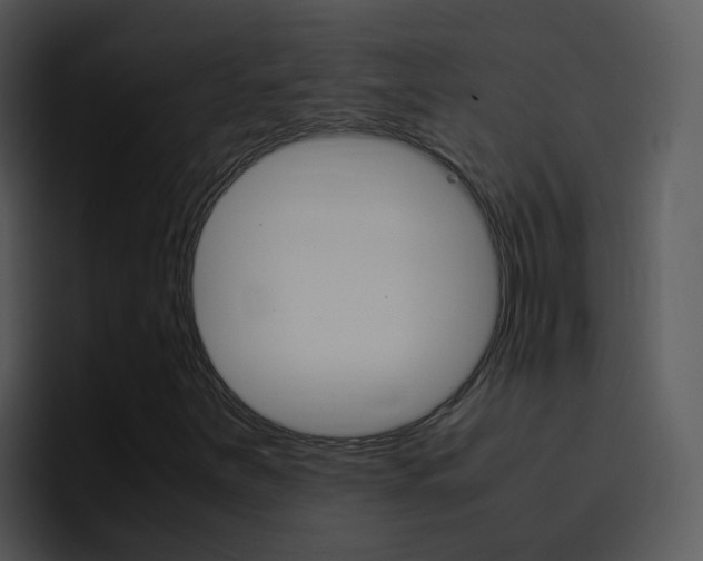 X0000096981251200802080852