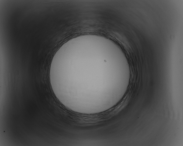 X0000096981252200802080852