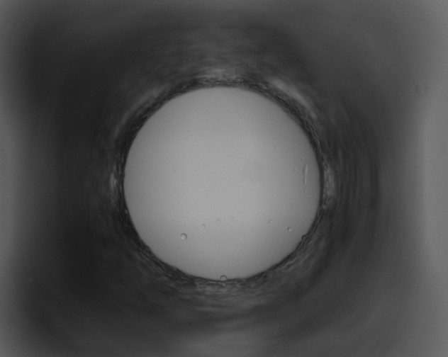 X0000096981254200802080852