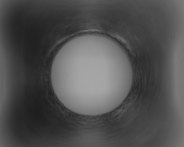 X0000096981255200802080852