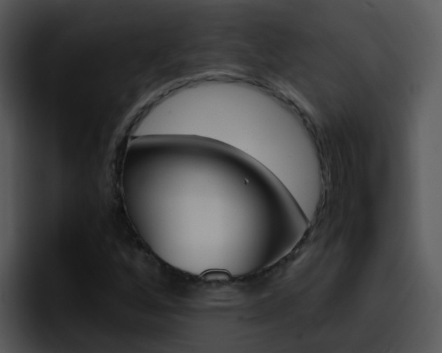 X0000096981256200802080852