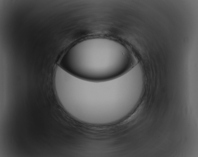 X0000096981257200802080852