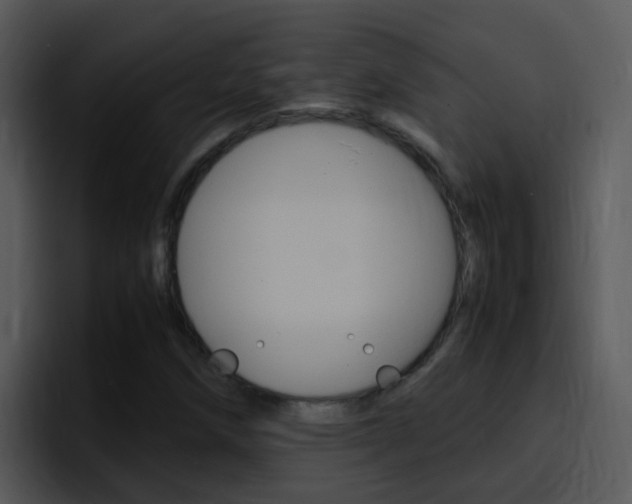 X0000096981258200802080852