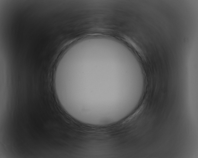 X0000096981259200802080852
