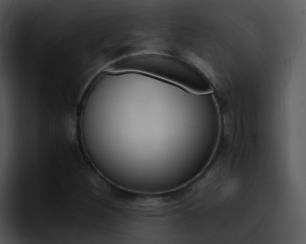 X0000096981260200802080852