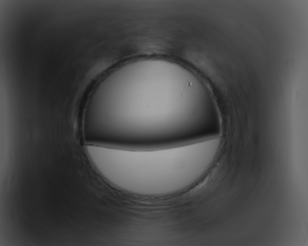 X0000096981261200802080852