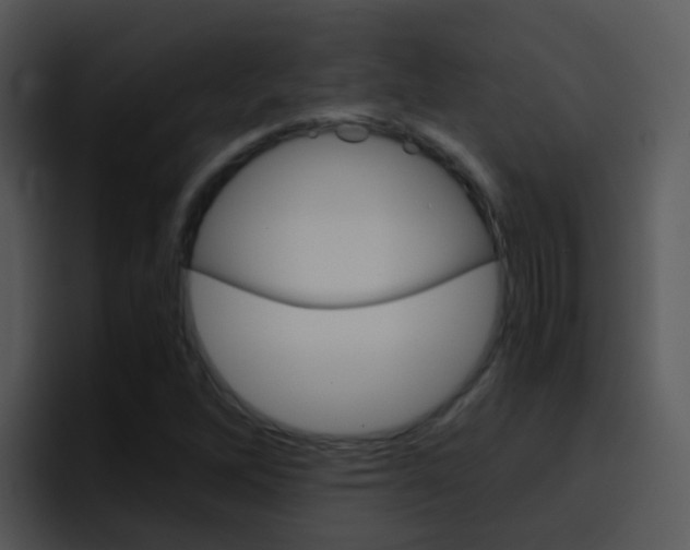 X0000096981262200802080852