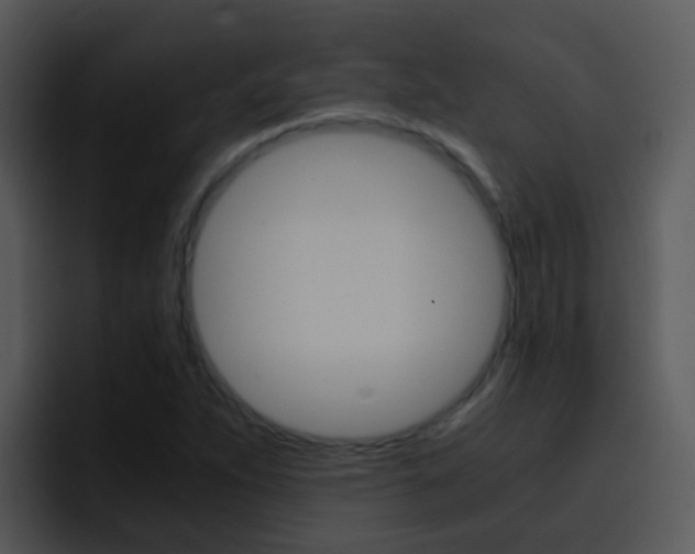 X0000096981263200802080852