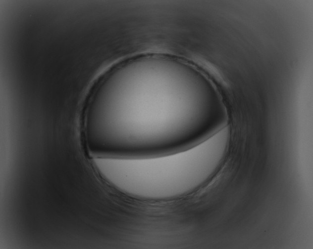 X0000096981264200802080852