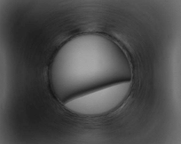 X0000096981265200802080852