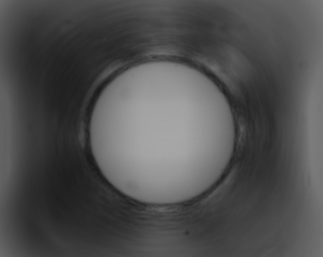 X0000096981266200802080852