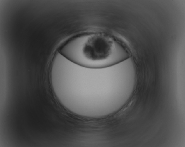 X0000096981267200802080852