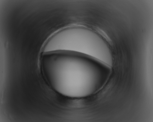 X0000096981268200802080852