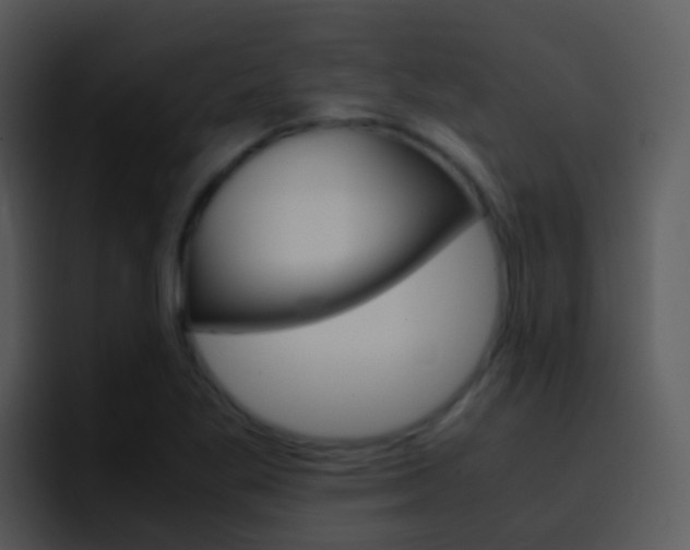 X0000096981269200802080852