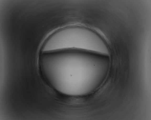 X0000096981270200802080852