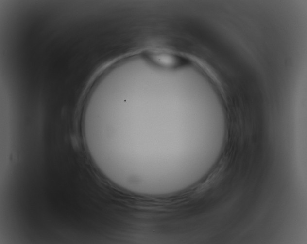 X0000096981271200802080852