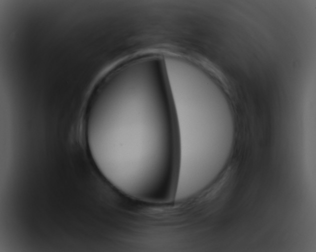 X0000096981272200802080852