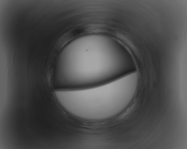 X0000096981273200802080852