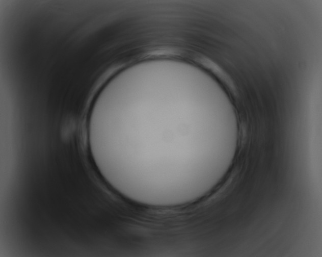 X0000096981274200802080852
