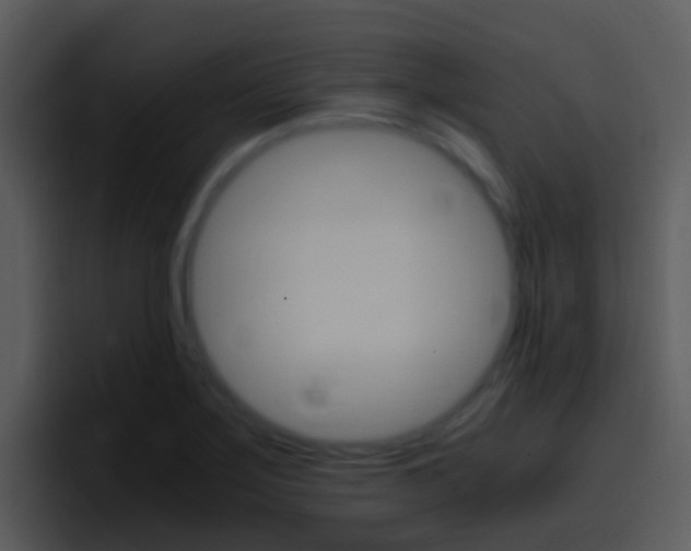 X0000096981275200802080852