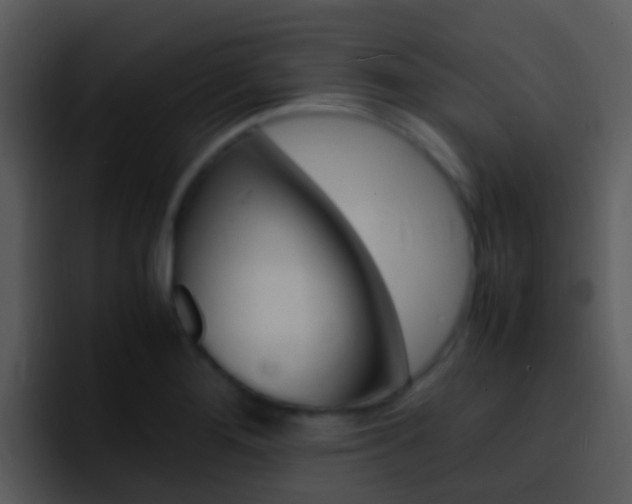 X0000096981276200802080852