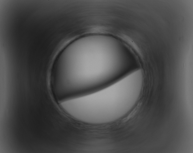 X0000096981277200802080852