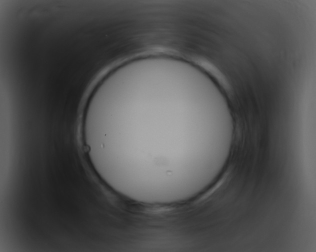 X0000096981278200802080852