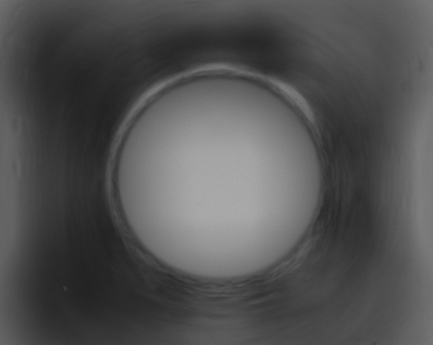 X0000096981279200802080852