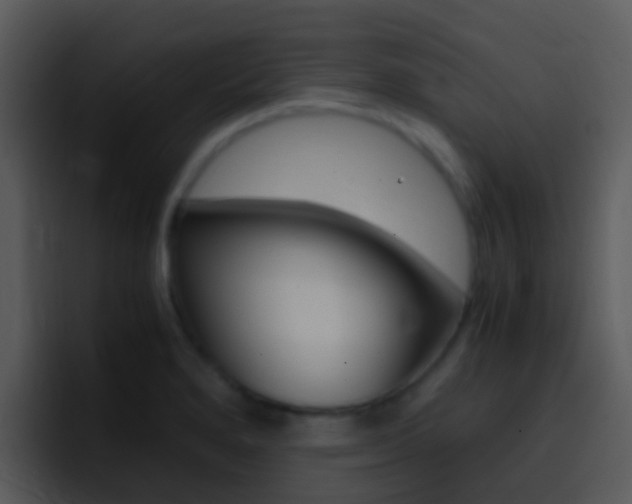 X0000096981280200802080852