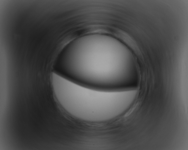 X0000096981281200802080852