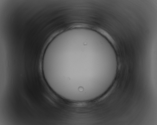 X0000096981282200802080852