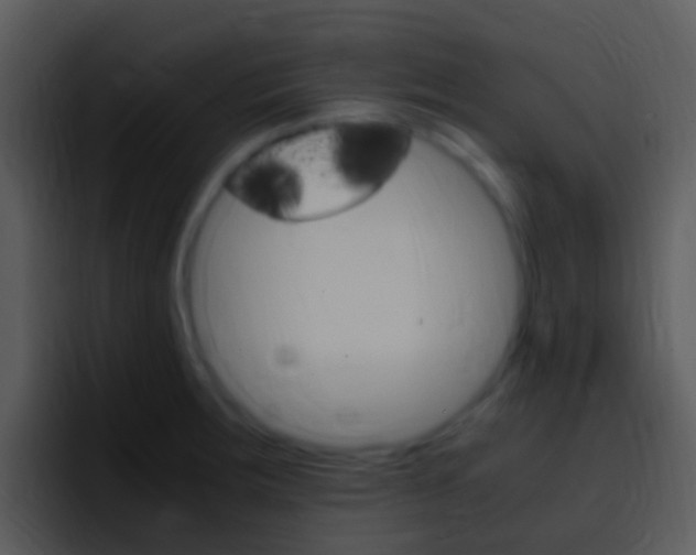 X0000096981283200802080852
